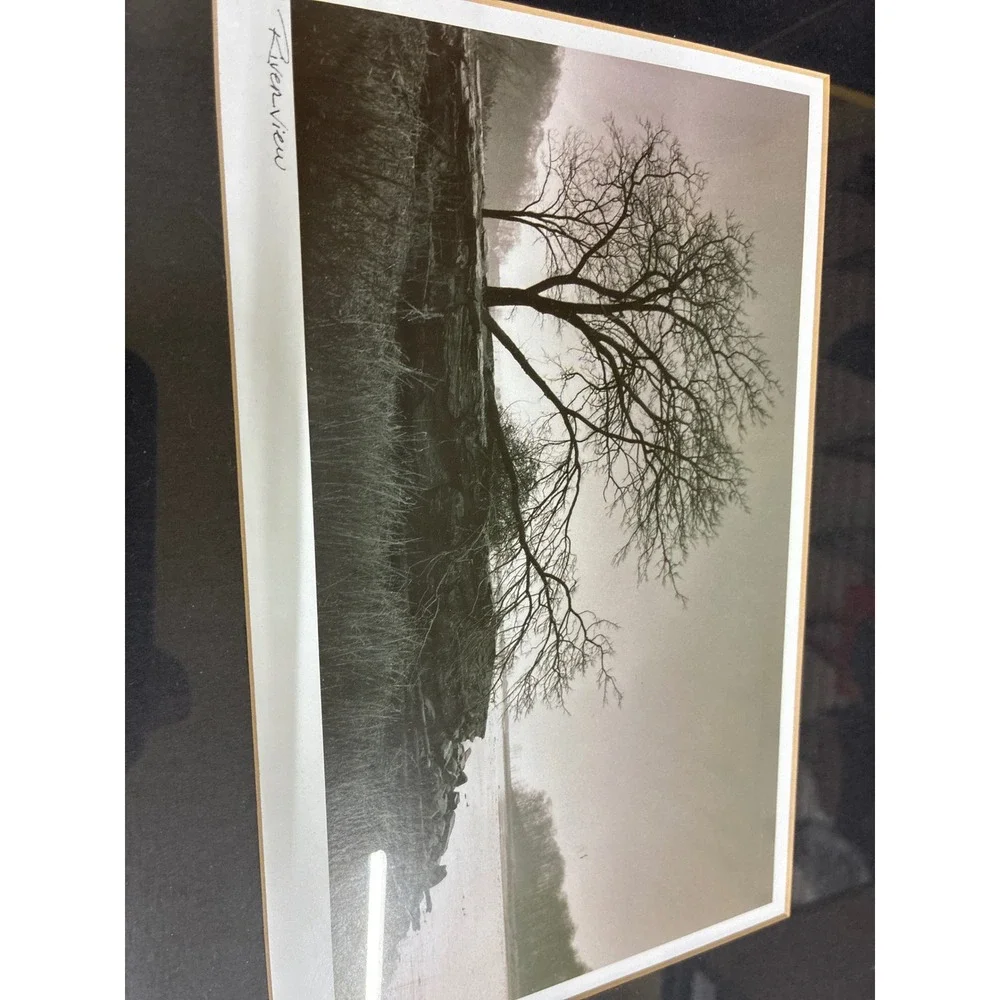 Set of 3 Framed Landscape Tree Photos Awakening Riverview Misty Fog Wall Art